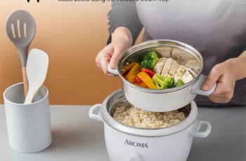 The Best Aroma Rice Cookers