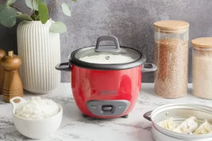 Aroma Housewares 6-Cup Pot Style Rice Cooker Review
