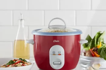 Oster Rice Cooker 6 Cup Rice Cooker and Steamer 4722 Review