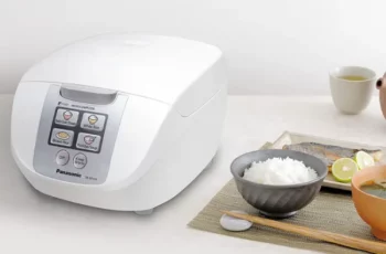 Panasonic SR-DF101 Microcomputer Rice Cooker Review
